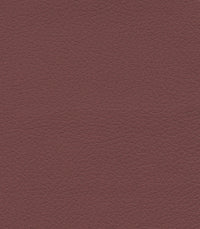 Beet Root