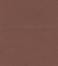 Bridle