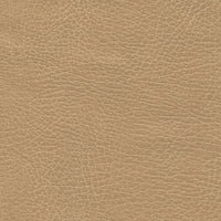 Buckskin