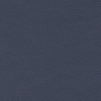 Night Navy
